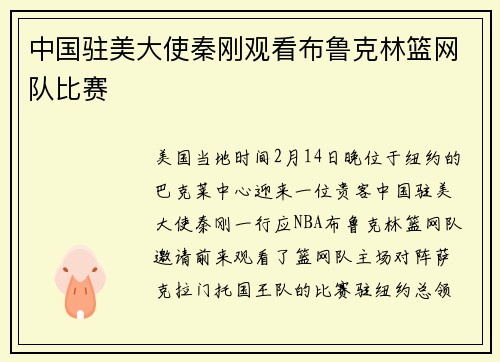 中国驻美大使秦刚观看布鲁克林篮网队比赛
